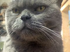 -Rabbit Cafe私房西餐甜点咖啡(栖霞路店)