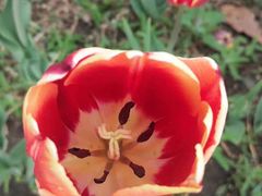 -长春公园(普阳街道)