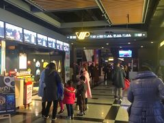 -万达影城(锦华万达广场IMAX店)