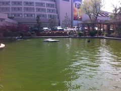 iphone_upload_pic-山东大厦