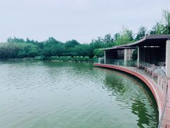 -春晖园度假酒店温泉