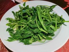 清炒豌豆尖-渝信川菜(长安店)