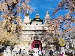 -北京石刻艺术博物馆(五塔寺)