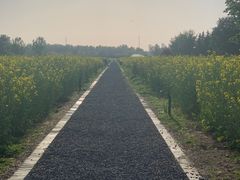 -汉长安城未央宫国家考古遗址公园