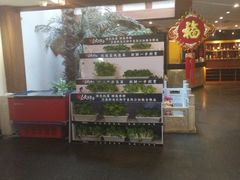 -卫鼎轩·家宴(水上公园店)