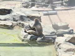 -北宫国家森林公园