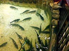 -东北大院·东北菜(三台子店)