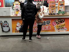 -蜜雪冰城(丁家庄店)