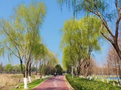 -滨湖塘西河公园