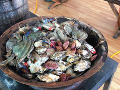 -阔澜蒸汽海鲜自助