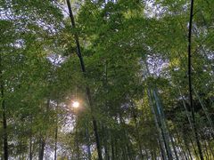 -横山水库
