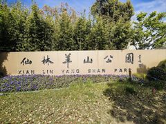 -羊山湖公园