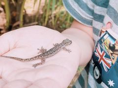 -吐斯廉屠杀博物馆