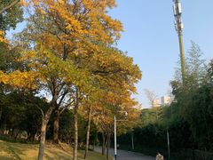 -大宁公园