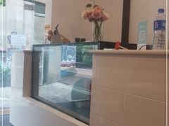 -浮光之丘MontCake生日蛋糕(花牌坊店)