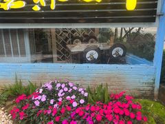 -蘑统田下·野生菌火锅