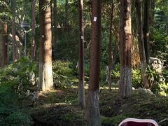-成都市活水公园