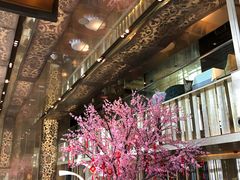-金轩中餐厅 Jin Xuan(浦东丽思卡尔顿酒店)