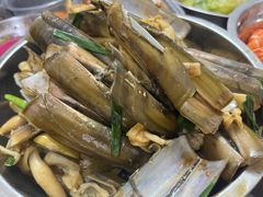-大湾区中央湿地公园