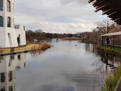 -济州森林小火车生态公园
