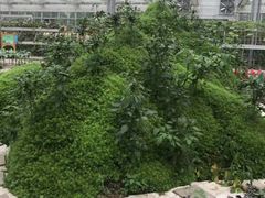 -北戴河集发农业梦想王国