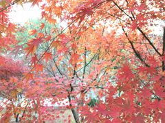 -江南大学(蠡湖校区)