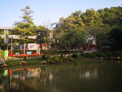-火炉山森林公园