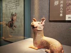 -荆州博物馆