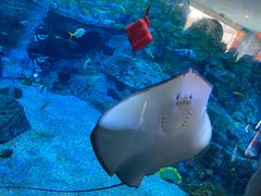 -横店影视城梦幻谷园区