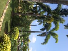 三亚凯莱仙人掌度假酒店-三亚亚龙湾凯莱仙人掌度假酒店