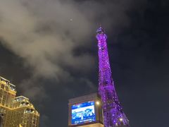 -澳门威尼斯人综合度假区