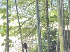 -武功山万龙峡漂流