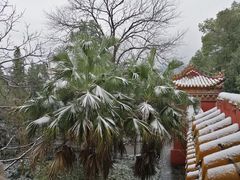 -南岳衡山风景名胜区-南岳大庙
