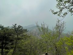 -北京鹫峰国家森林公园