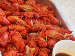 白灼小虾-安答龙虾·烧烤·大排档