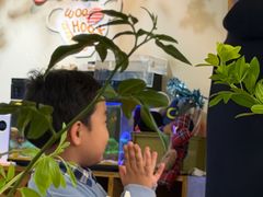 -长春市南湖公园