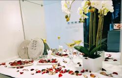 -THE QUEEN(北京店)