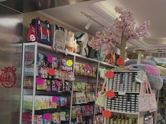 -北京观赏动物医院·24小时大型综合·猫专科·异宠专科