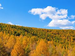 -塞罕坝国家级自然保护区