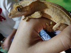 -藦茜花园宠物主题亲子互动体验馆(国顺东路店)