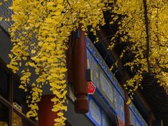 -四川大学(华西校区)