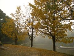 -西南交通大学(峨眉校区)