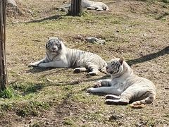 -西安秦岭野生动物园