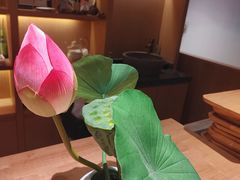 -佳藕天成(南宋御街店)