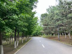 -长白岛森林公园