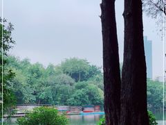 -晓港公园
