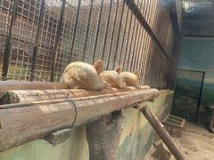 -昆明动物园