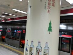 -大望路(地铁站)