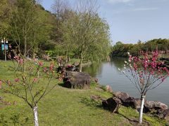 -狼山风景名胜区