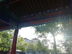 -莲花池公园